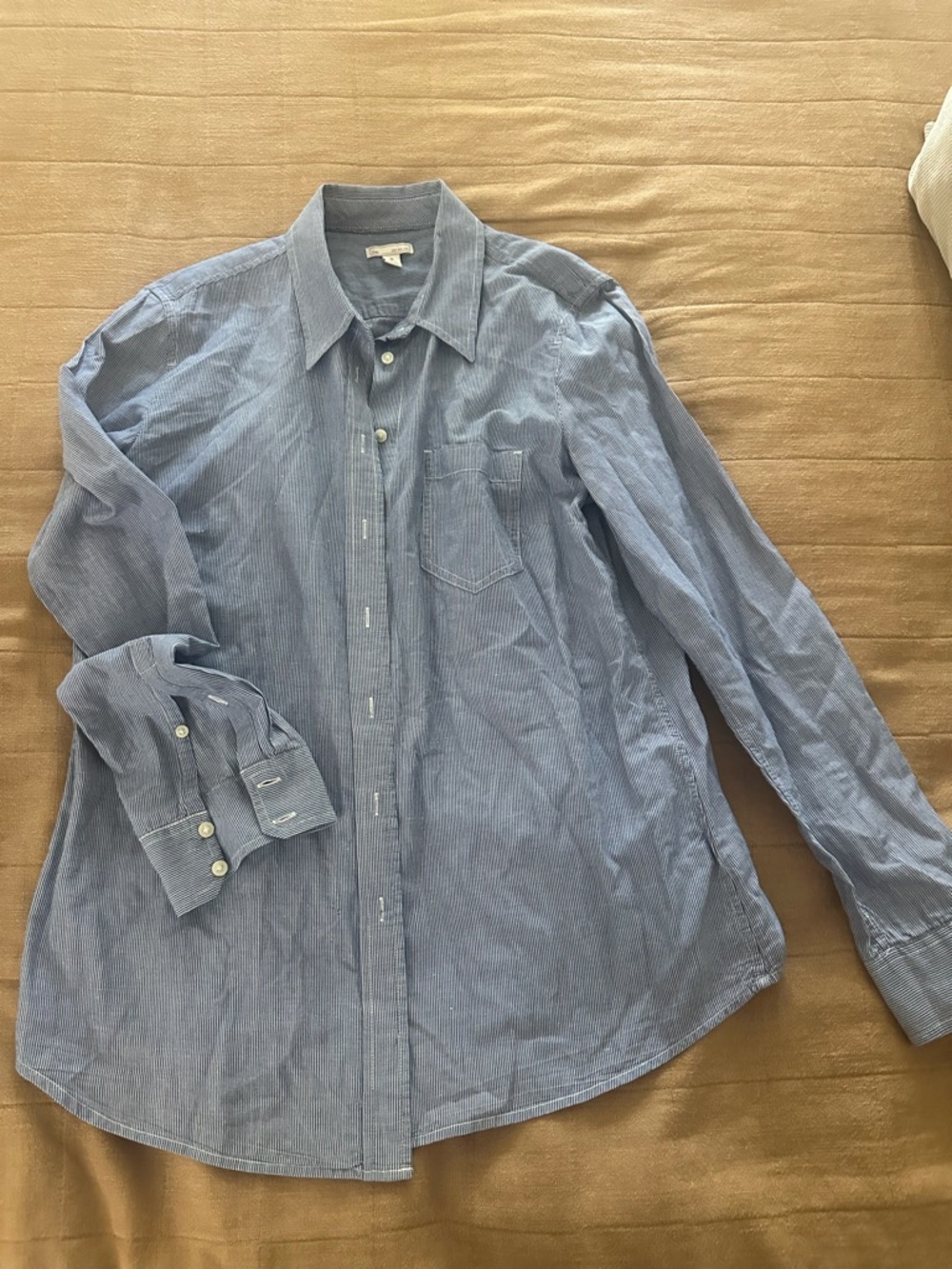 GAP Men's Blue Pinstripe Button-Down Shirt